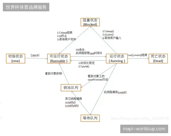 体育赛事运营重心由基础信号覆盖转向基于细分场景的内容差异化供应